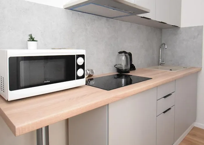 民宿 Roomspoznan Pl - Rybaki 29 - 24h Self Check-in *